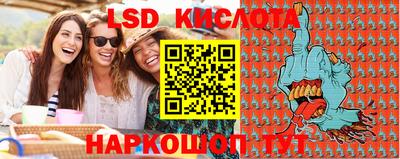 ПСИЛОЦИБИНОВЫЕ ГРИБЫ Берёзовский
