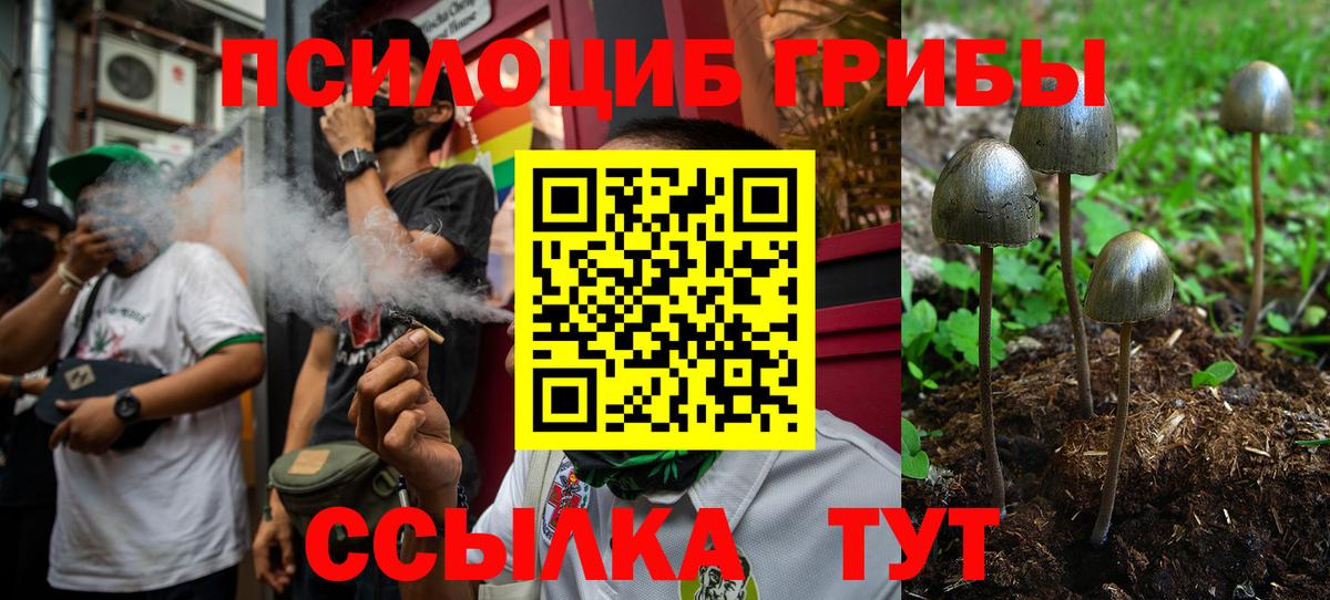 Галлюциногенные грибы GOLDEN TEACHER  купить наркотики цена  Калуга  Вход с VPN 
