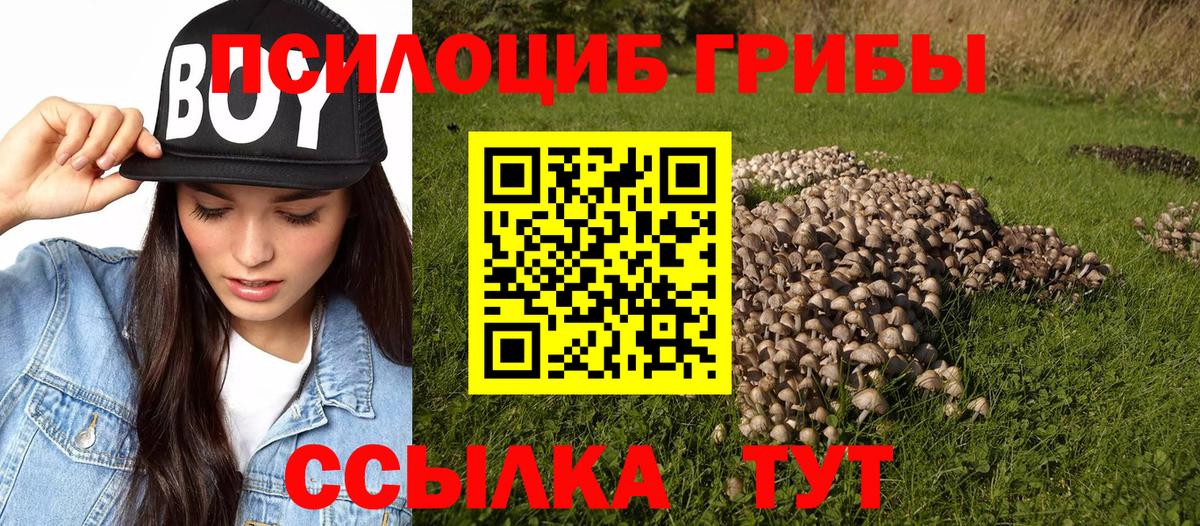 Галлюциногенные грибы прущие грибы Калуга